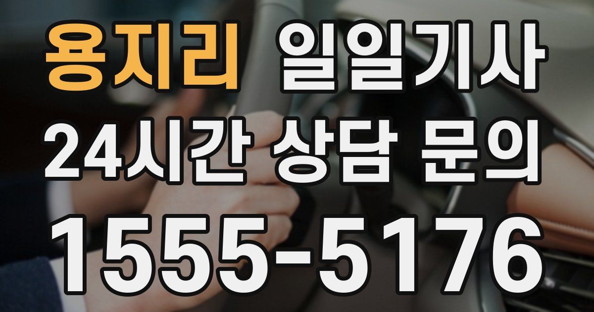 일일대리기사