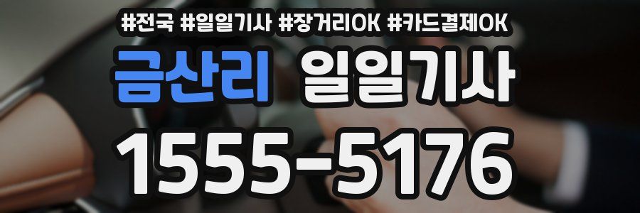 금산리 일일기사
