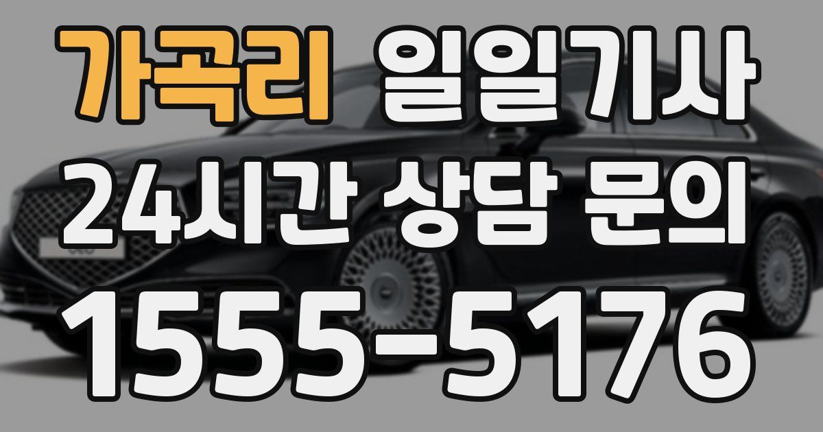 일일대리기사