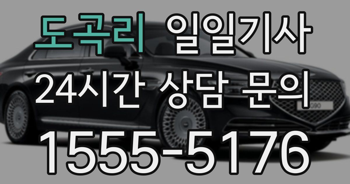 일일대리기사