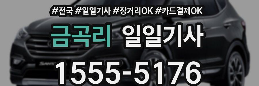 금곡리 일일기사