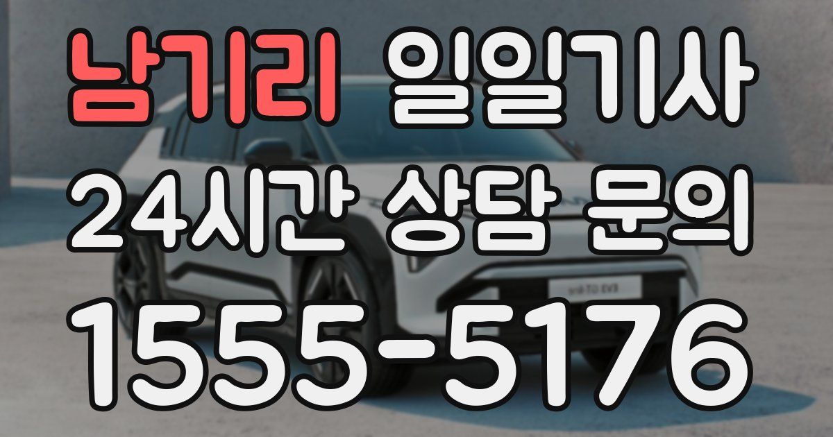 일일대리기사