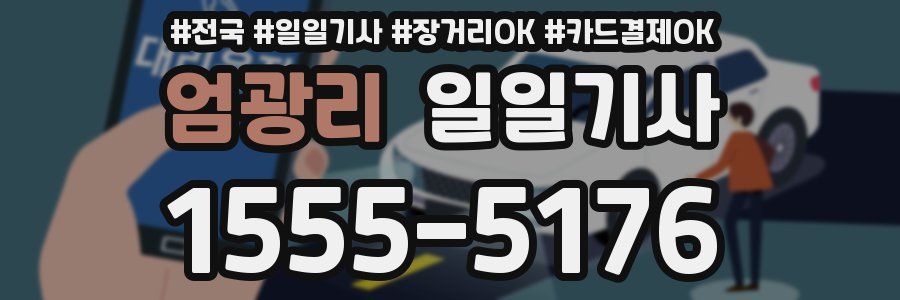 엄광리 일일기사