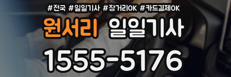 원서리 일일기사