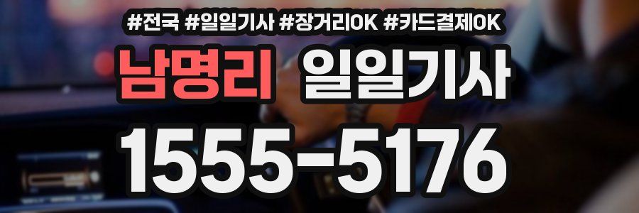 남명리 일일기사