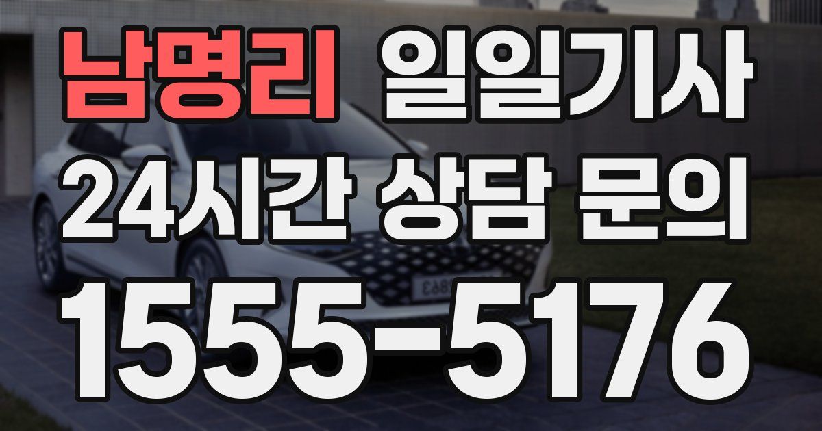 일일대리기사