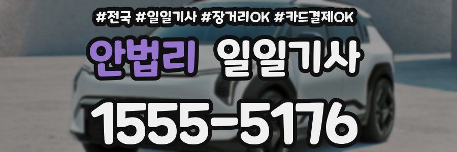 안법리 일일기사