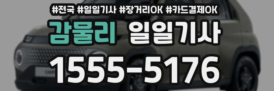 감물리 일일기사