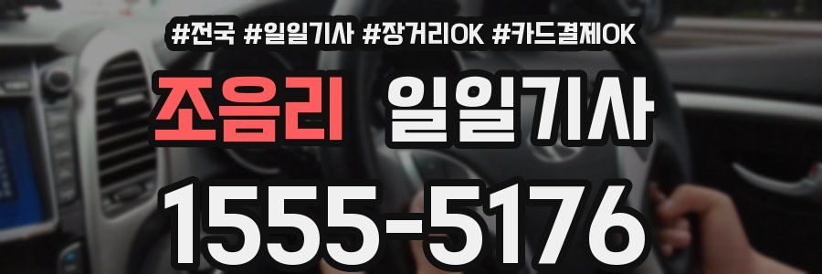 조음리 일일기사