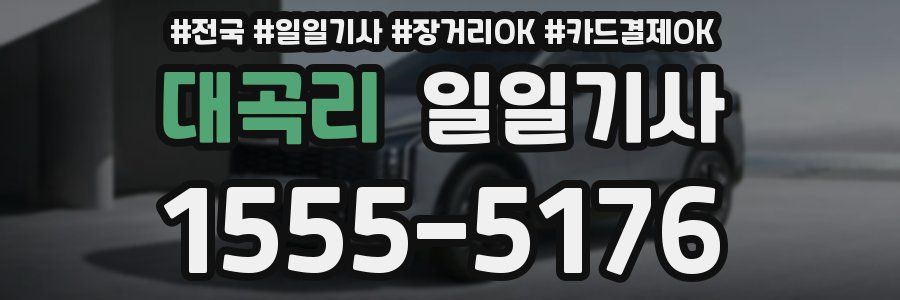 대곡리 일일기사