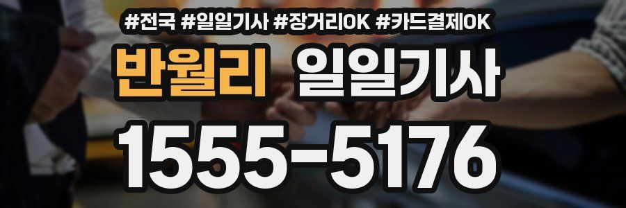 반월리 일일기사