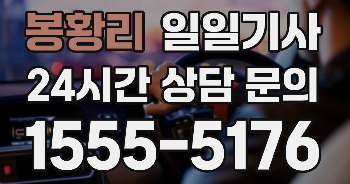 일일대리기사