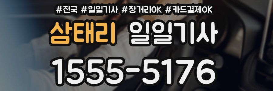 삼태리 일일기사