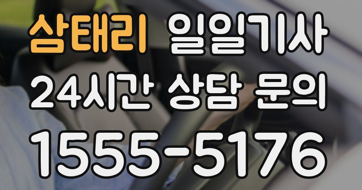 일일대리기사