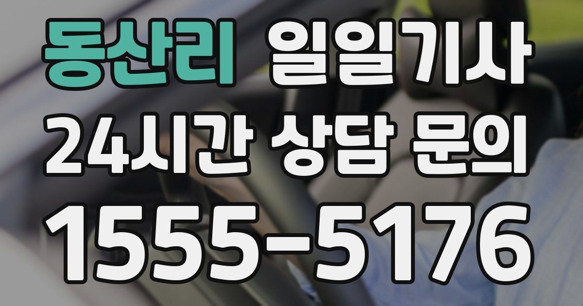 일일대리기사