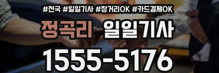 정곡리 일일기사