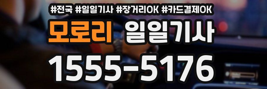 모로리 일일기사