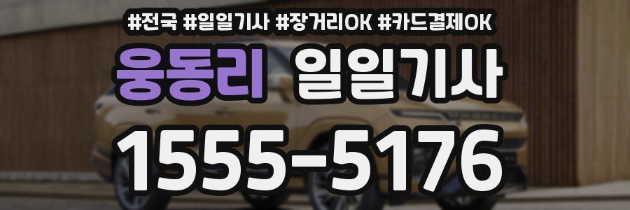 웅동리 일일기사