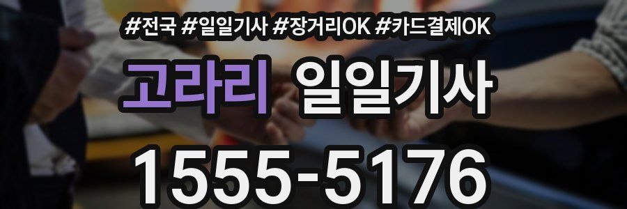 고라리 일일기사