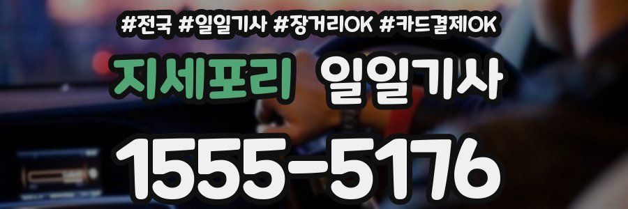 지세포리 일일기사