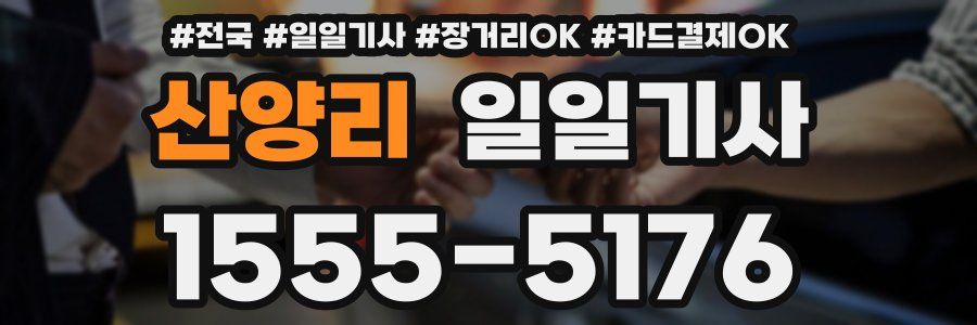 산양리 일일기사