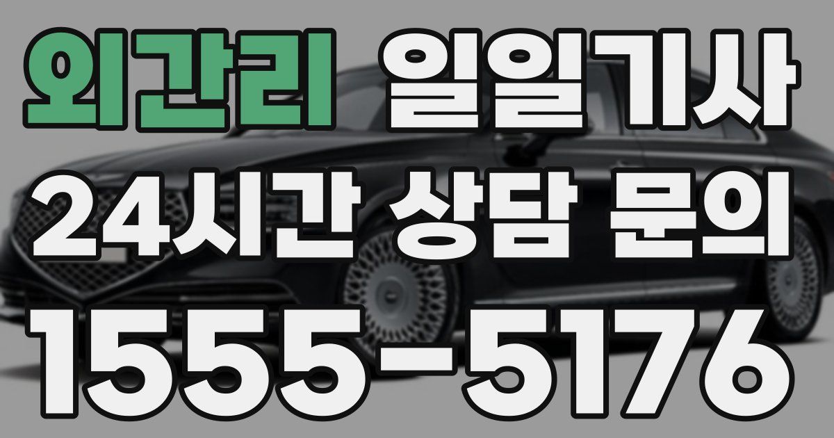 일일대리기사