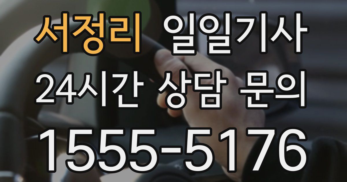일일대리기사