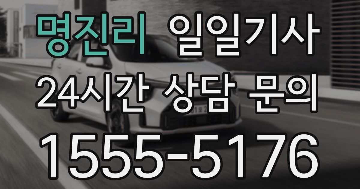 일일대리기사
