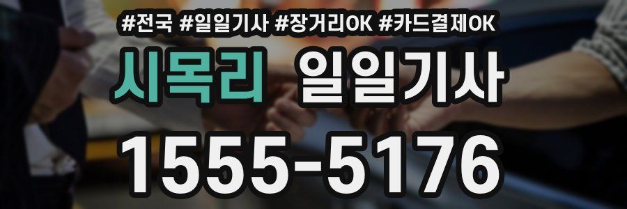 시목리 일일기사