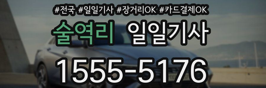 술역리 일일기사