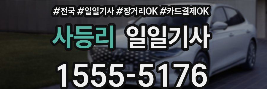 사등리 일일기사