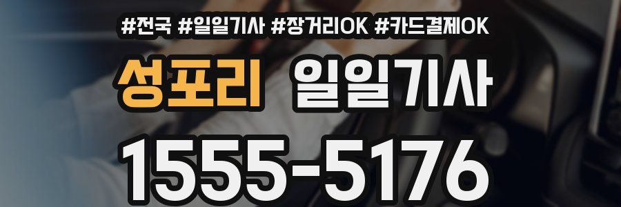 성포리 일일기사