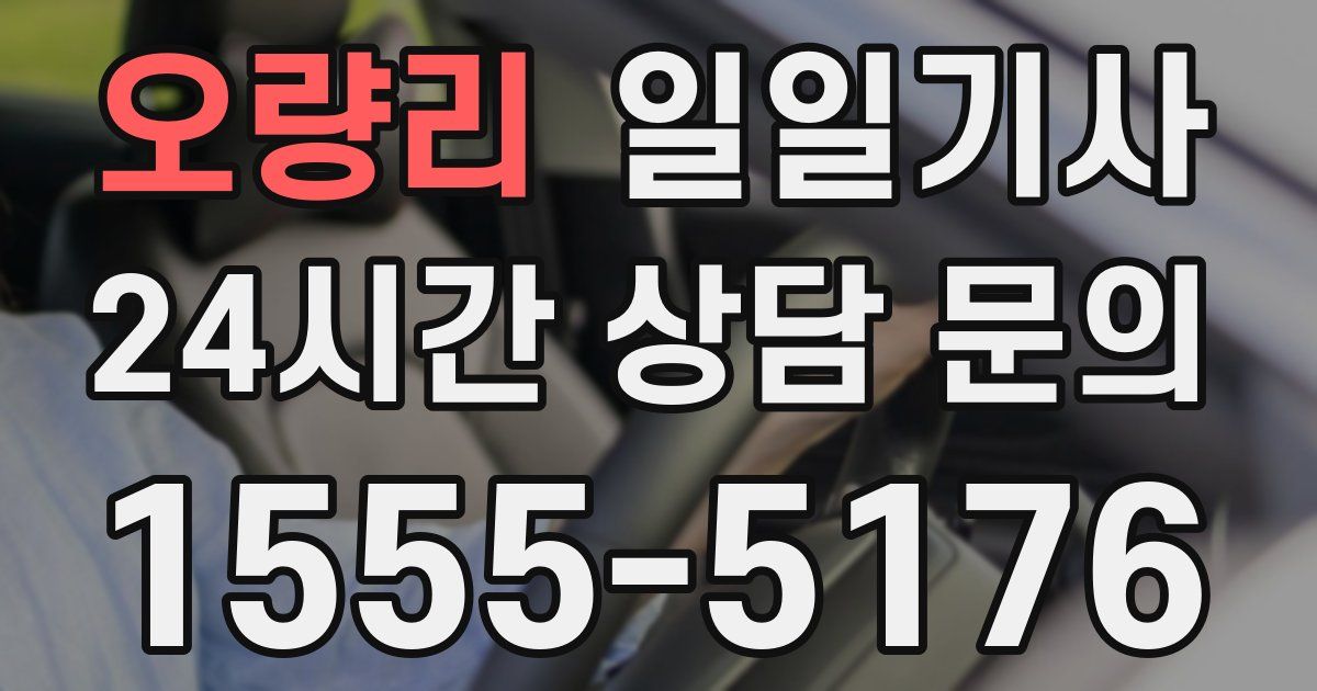 일일대리기사