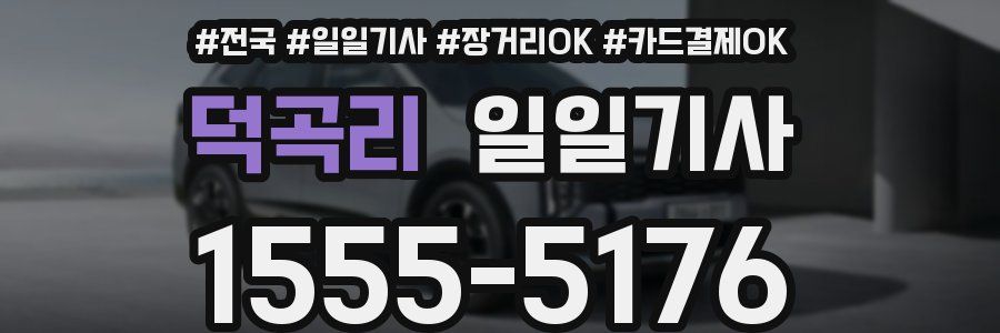 덕곡리 일일기사