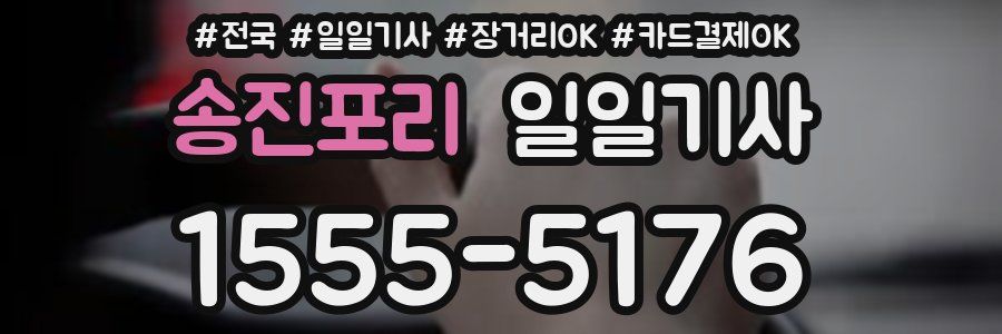 송진포리 일일기사