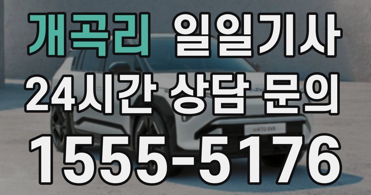 일일대리기사