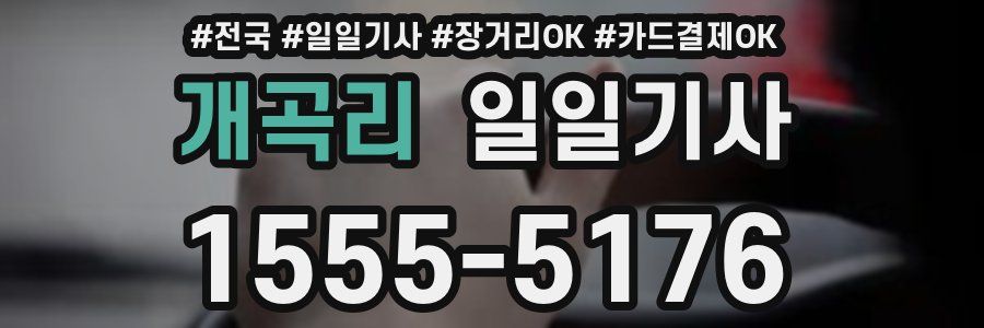 개곡리 일일기사