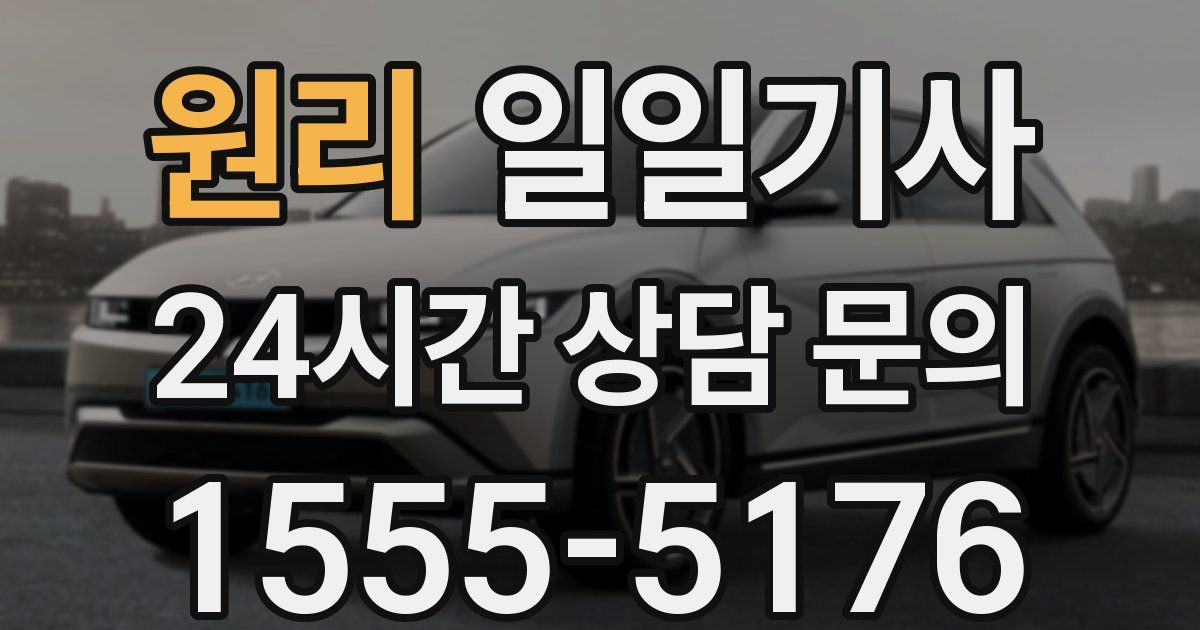 일일대리기사