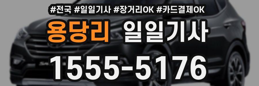 용당리 일일기사