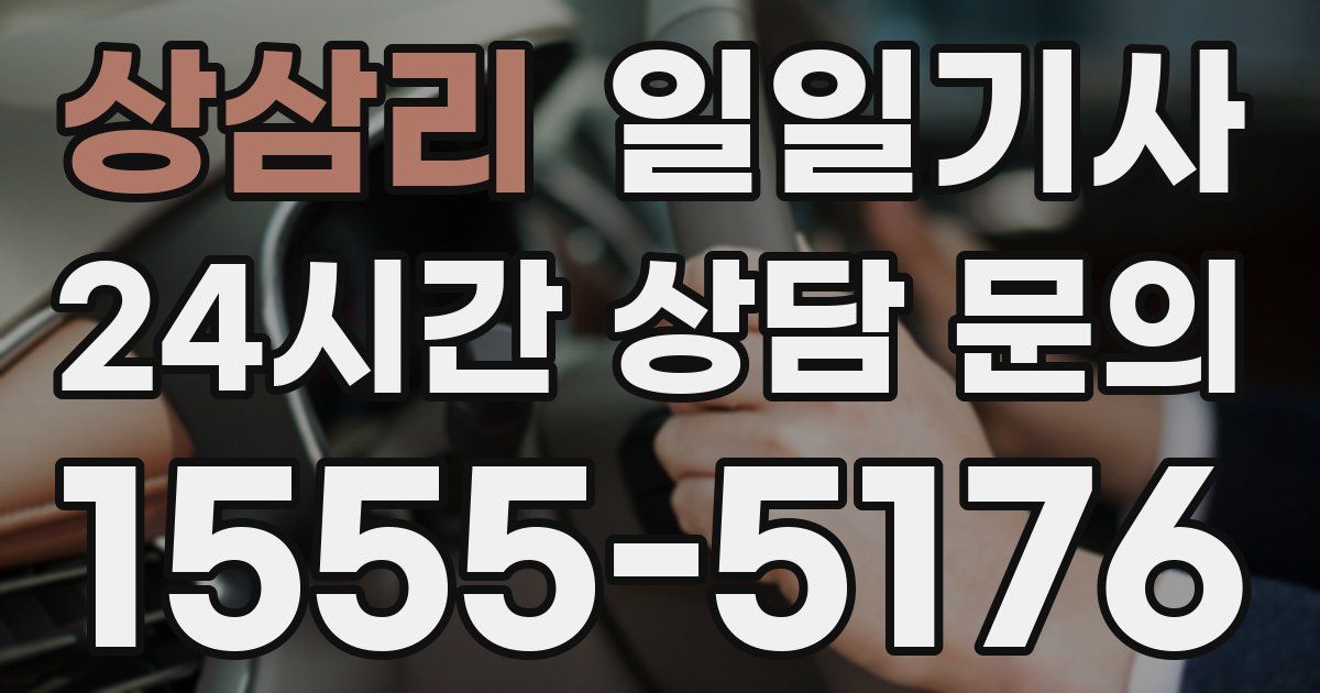 일일대리기사