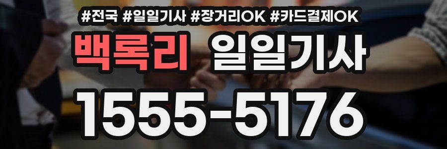 백록리 일일기사