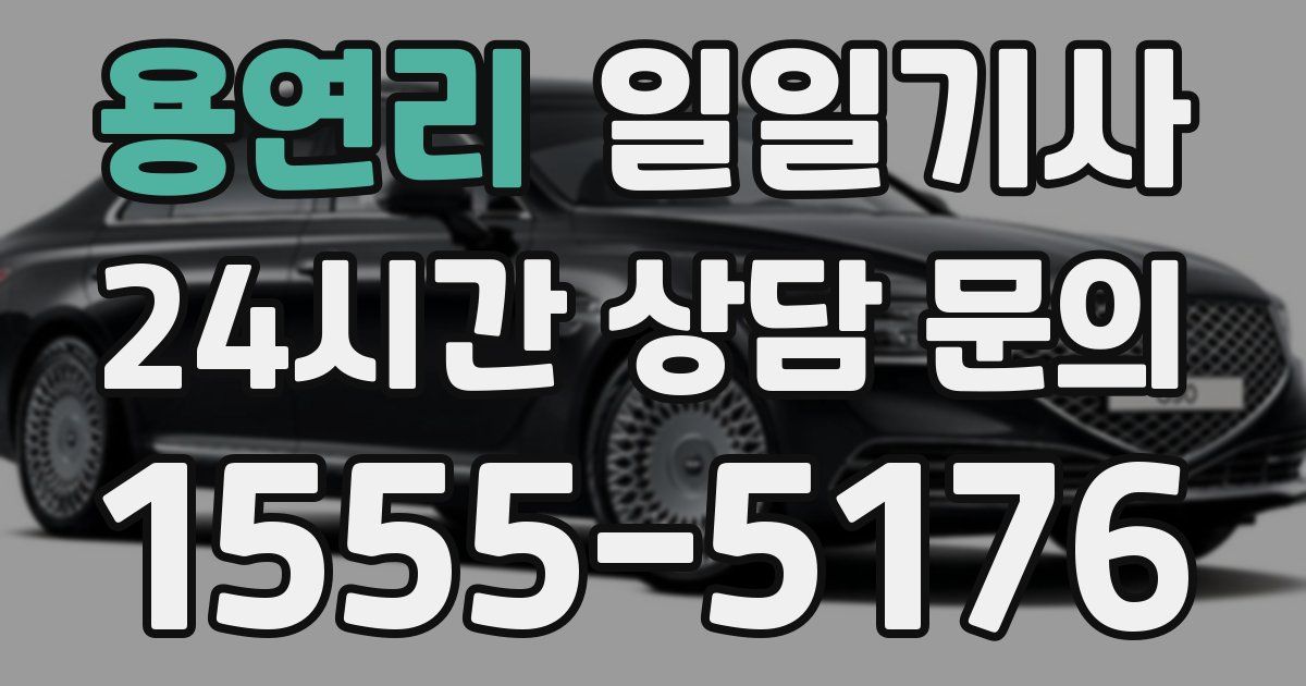 일일대리기사
