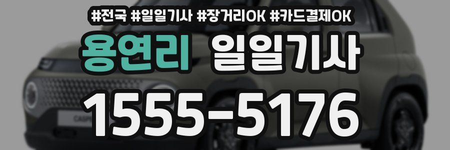 용연리 일일기사