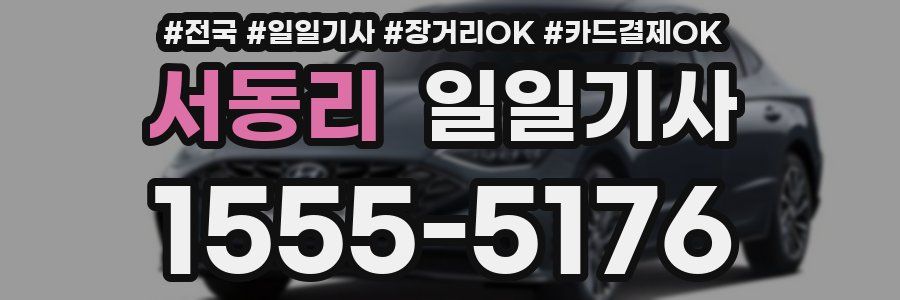 서동리 일일기사