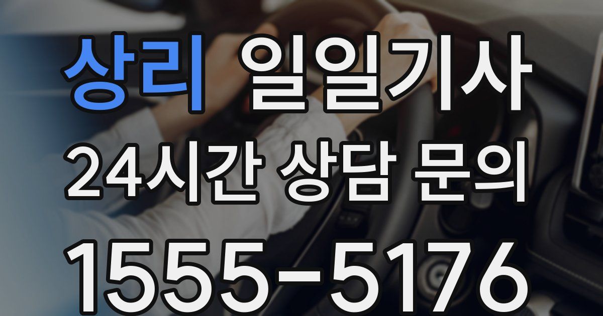 일일대리기사