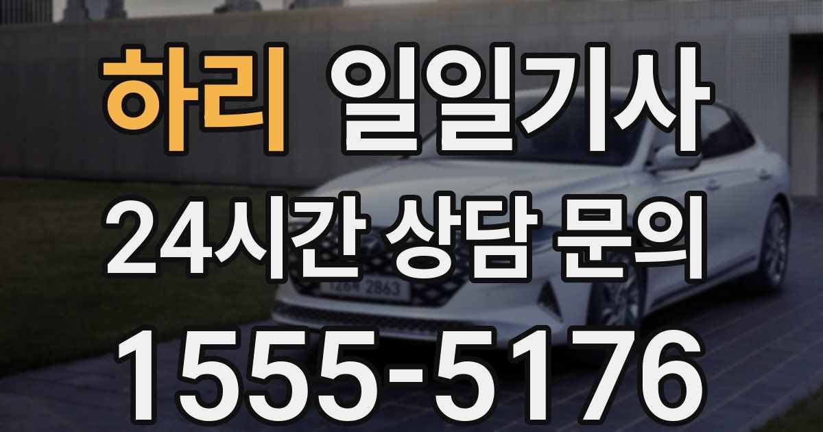일일대리기사