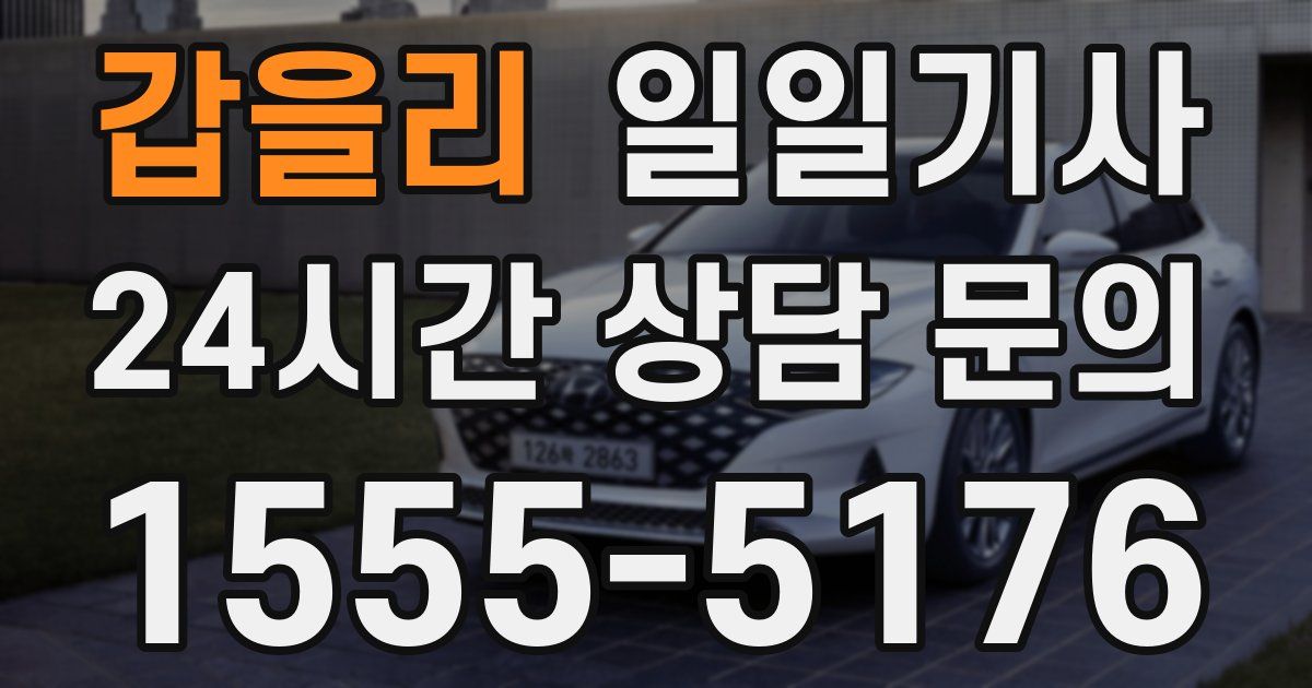 일일대리기사