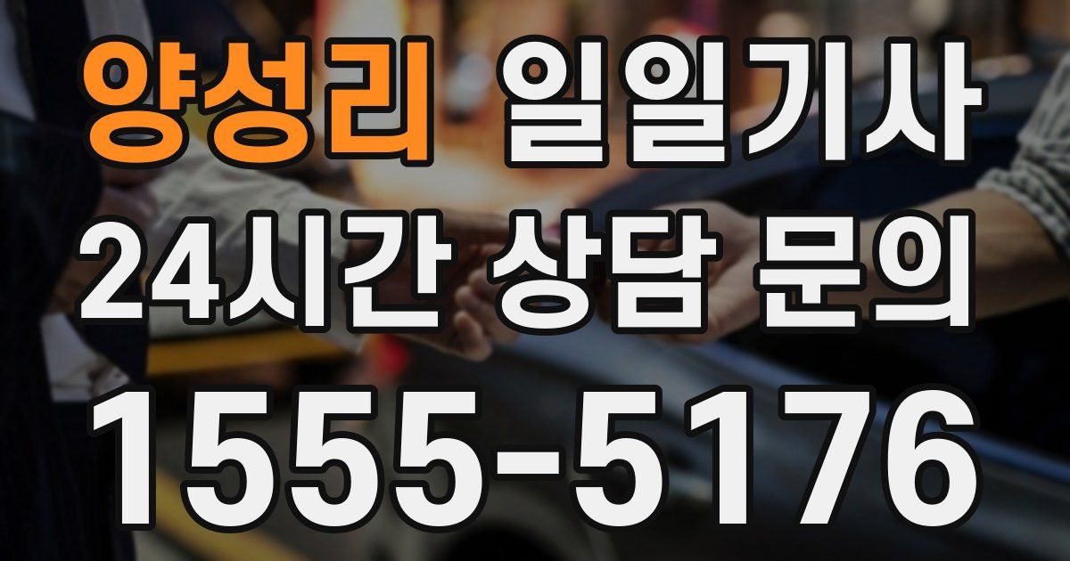일일대리기사