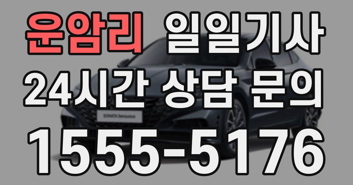 일일대리기사