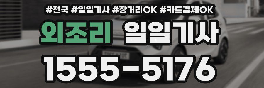 외조리 일일기사